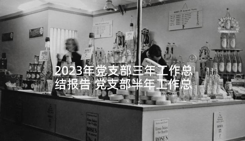 2023年党支部三年工作总结报告 党支部半年工作总结报告(优质6篇)