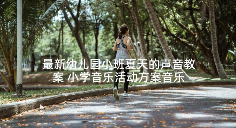 最新幼儿园小班夏天的声音教案 小学音乐活动方案音乐教学活动(模板9篇)