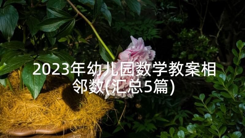 2023年幼儿园数学教案相邻数(汇总5篇)