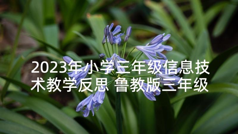 2023年小学三年级信息技术教学反思 鲁教版三年级卡罗纳的教学反思(模板6篇)