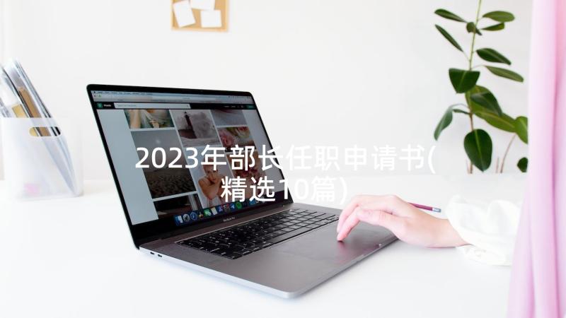 2023年部长任职申请书(精选10篇)