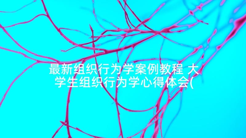 最新组织行为学案例教程 大学生组织行为学心得体会(精选7篇)