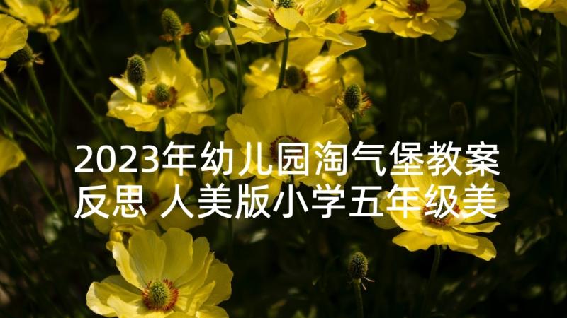 2023年幼儿园淘气堡教案反思 人美版小学五年级美术衣架的联想教学反思(模板5篇)