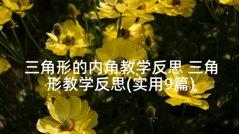 三角形的内角教学反思 三角形教学反思(实用9篇)