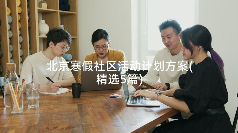 北京寒假社区活动计划方案(精选5篇)