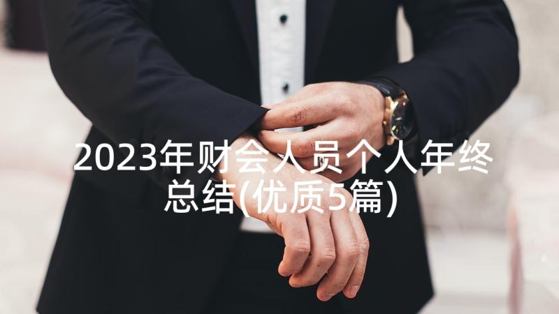 2023年财会人员个人年终总结(优质5篇)