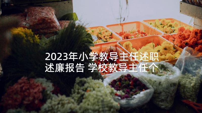 2023年小学教导主任述职述廉报告 学校教导主任个人述职述廉报告(大全7篇)