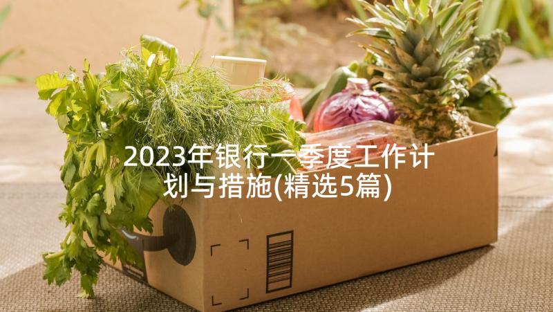 2023年银行一季度工作计划与措施(精选5篇)