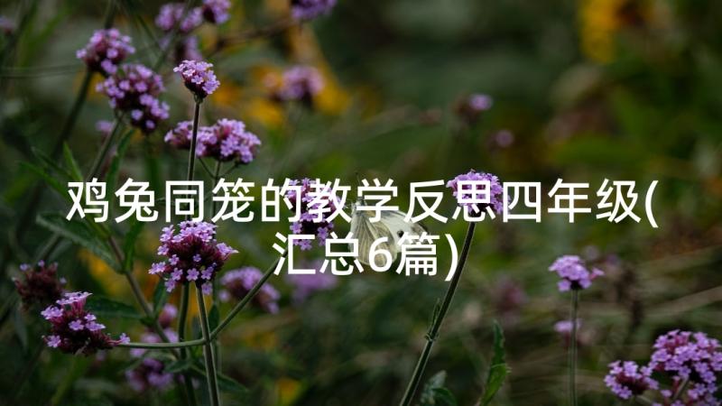 鸡兔同笼的教学反思四年级(汇总6篇)