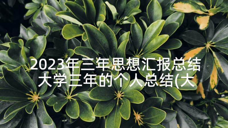 2023年三年思想汇报总结 大学三年的个人总结(大全5篇)