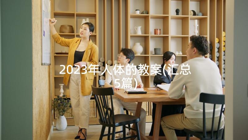 2023年人体的教案(汇总5篇)