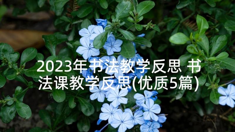 2023年书法教学反思 书法课教学反思(优质5篇)