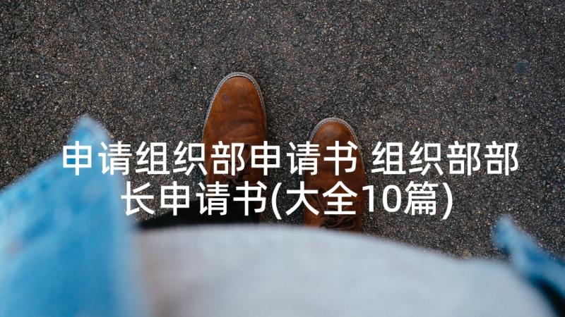 申请组织部申请书 组织部部长申请书(大全10篇)