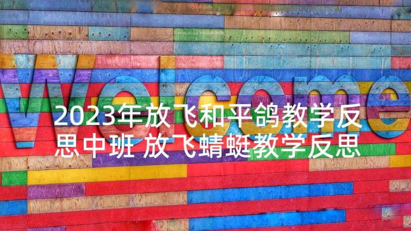 2023年放飞和平鸽教学反思中班 放飞蜻蜓教学反思(通用5篇)