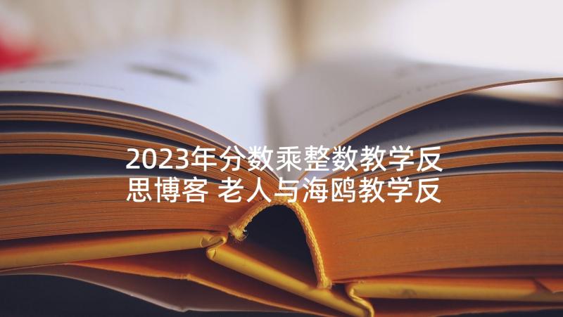 2023年分数乘整数教学反思博客 老人与海鸥教学反思(优秀6篇)