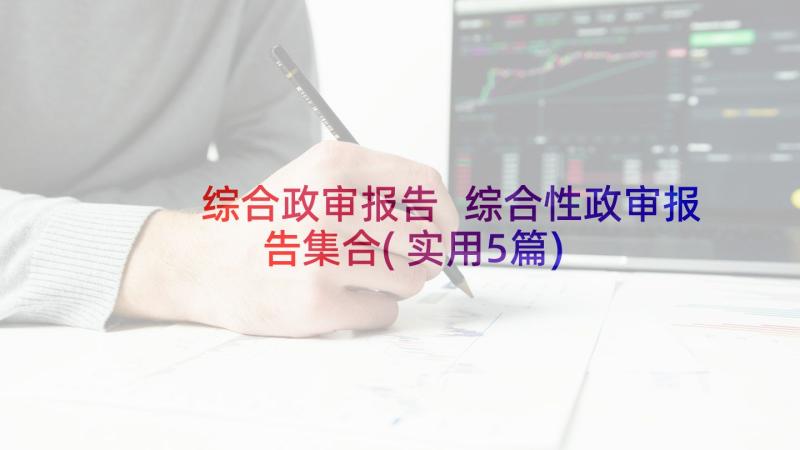 综合政审报告 综合性政审报告集合(实用5篇)