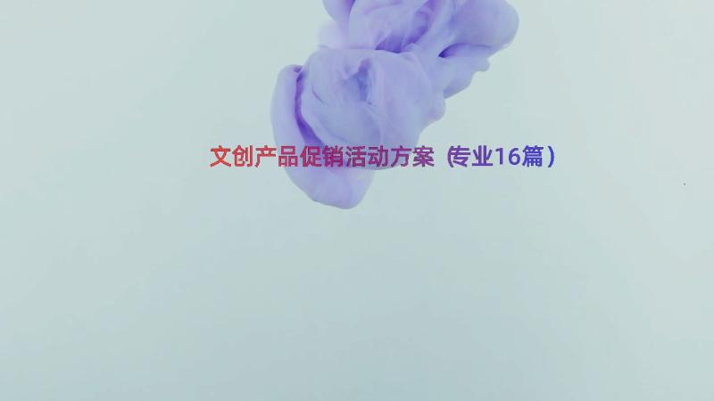 文创产品促销活动方案（专业16篇）