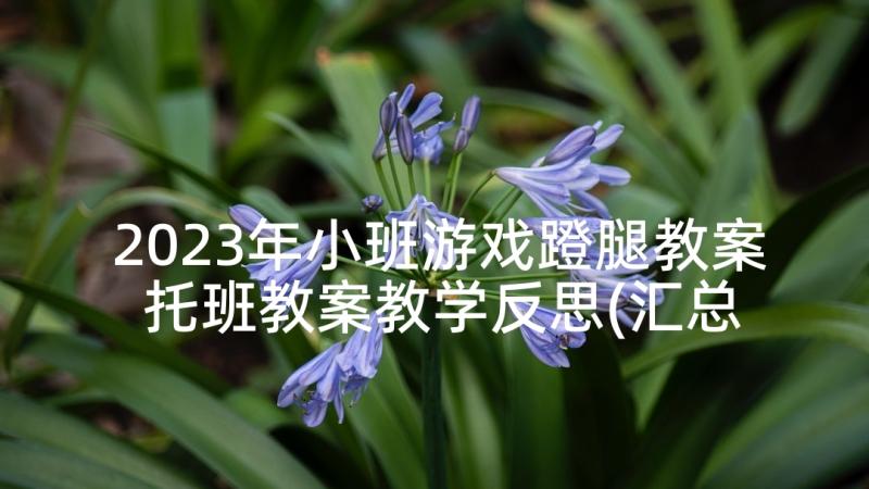 2023年小班游戏蹬腿教案 托班教案教学反思(汇总5篇)