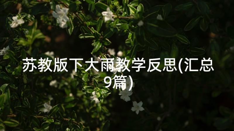 苏教版下大雨教学反思(汇总9篇)