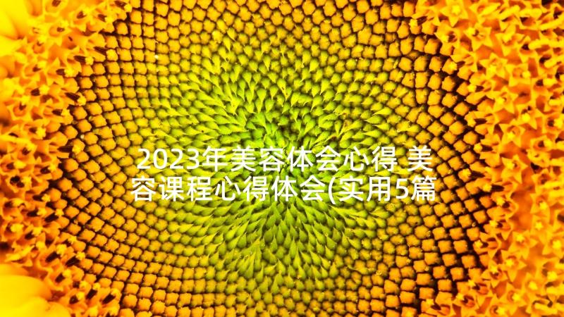 2023年美容体会心得 美容课程心得体会(实用5篇)