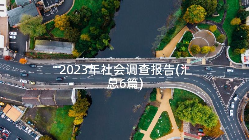 2023年社会调查报告(汇总6篇)