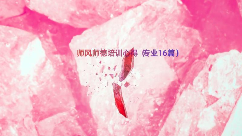 师风师德培训心得（专业16篇）