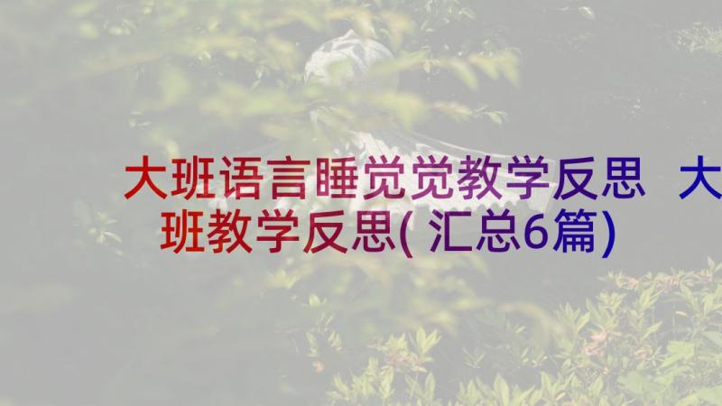 大班语言睡觉觉教学反思 大班教学反思(汇总6篇)