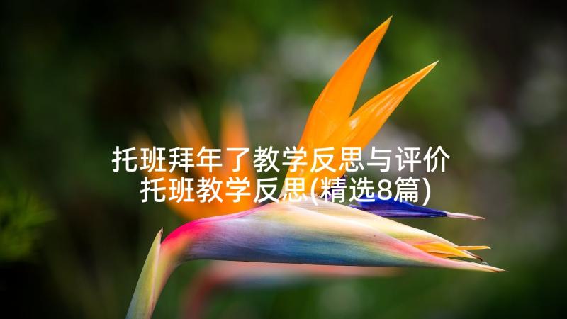 托班拜年了教学反思与评价 托班教学反思(精选8篇)