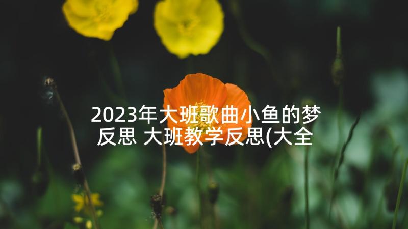 2023年大班歌曲小鱼的梦反思 大班教学反思(大全5篇)