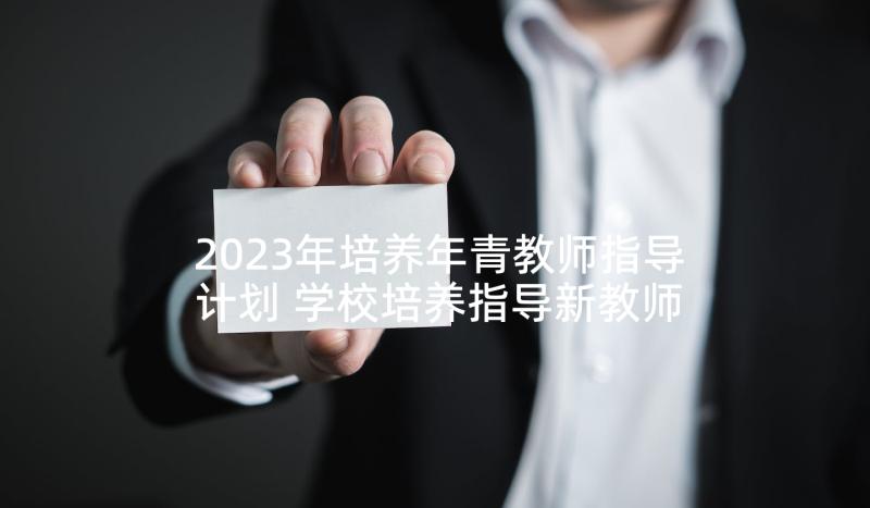 2023年培养年青教师指导计划 学校培养指导新教师工作计划(汇总5篇)