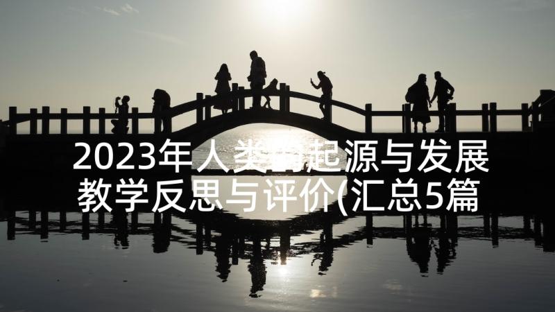 2023年人类的起源与发展教学反思与评价(汇总5篇)