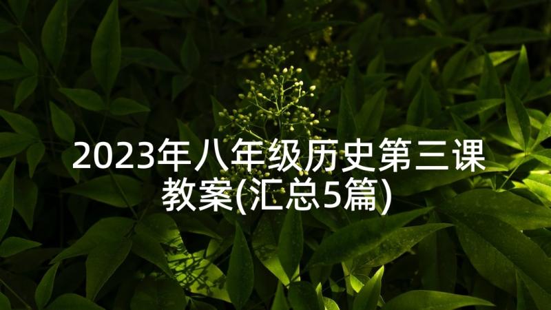 2023年八年级历史第三课教案(汇总5篇)