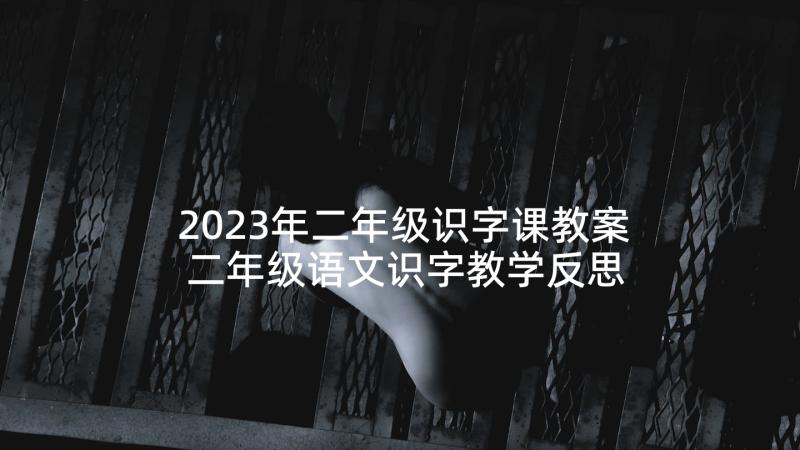 2023年二年级识字课教案 二年级语文识字教学反思(汇总8篇)