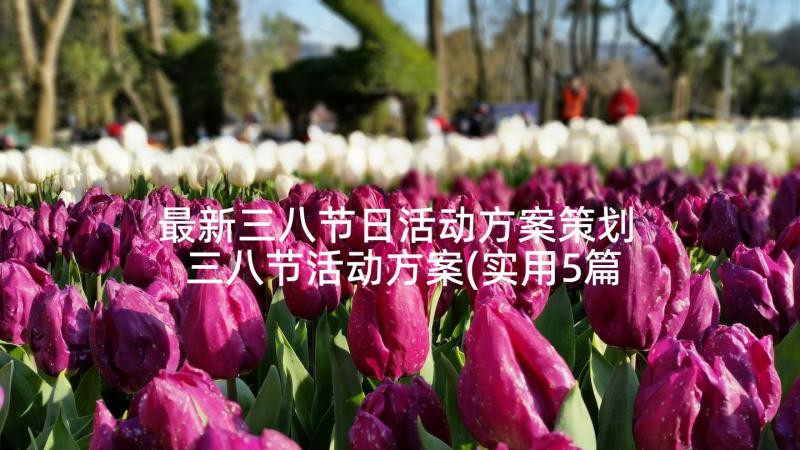 最新三八节日活动方案策划 三八节活动方案(实用5篇)