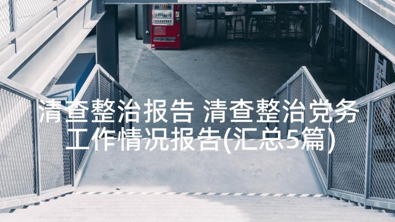 清查整治报告 清查整治党务工作情况报告(汇总5篇)