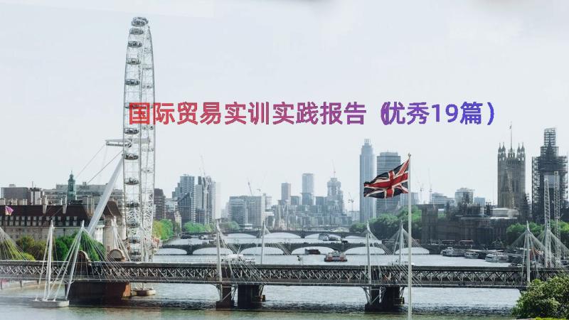 国际贸易实训实践报告（优秀19篇）