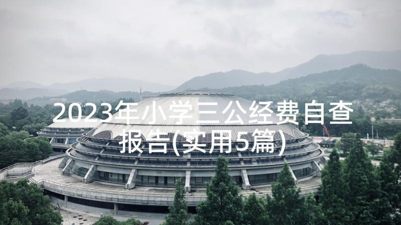 2023年小学三公经费自查报告(实用5篇)