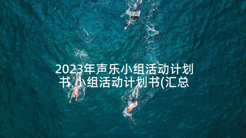 2023年声乐小组活动计划书 小组活动计划书(汇总5篇)