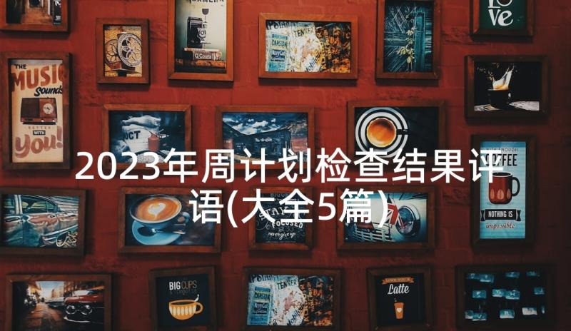 2023年周计划检查结果评语(大全5篇)