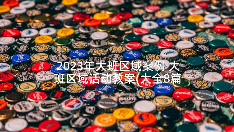 2023年大班区域案例 大班区域活动教案(大全8篇)