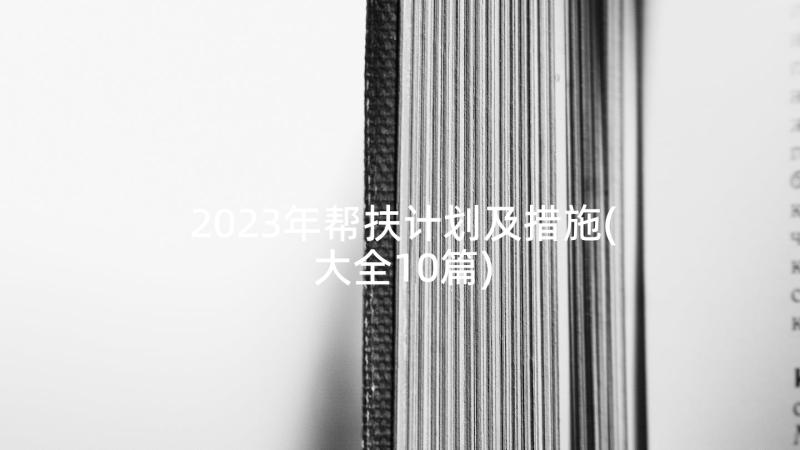 2023年帮扶计划及措施(大全10篇)