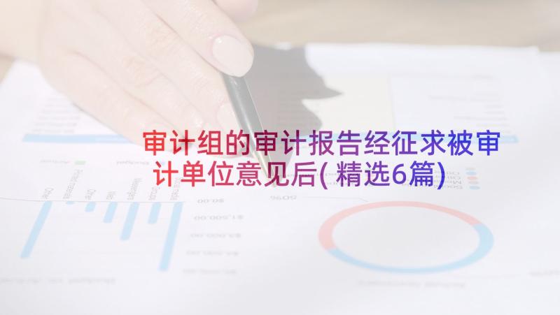 审计组的审计报告经征求被审计单位意见后(精选6篇)