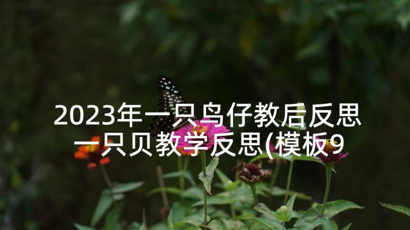 2023年一只鸟仔教后反思 一只贝教学反思(模板9篇)