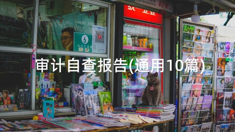 审计自查报告(通用10篇)