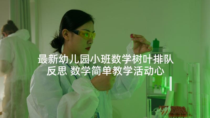 最新幼儿园小班数学树叶排队反思 数学简单教学活动心得体会(精选8篇)