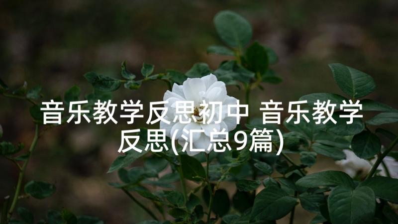 音乐教学反思初中 音乐教学反思(汇总9篇)