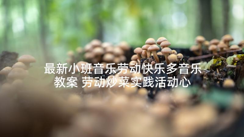 最新小班音乐劳动快乐多音乐教案 劳动炒菜实践活动心得体会(精选8篇)