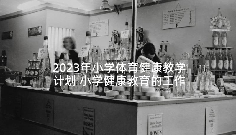 2023年小学体育健康教学计划 小学健康教育的工作计划(优秀5篇)