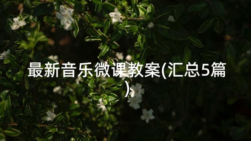 最新音乐微课教案(汇总5篇)