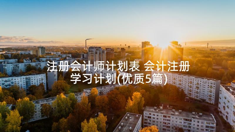 注册会计师计划表 会计注册学习计划(优质5篇)